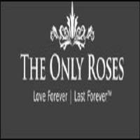The Only Roses image 1